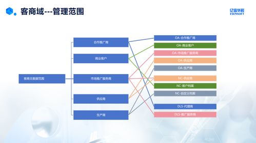 藥企客商域主數(shù)據(jù)管理實踐與挑戰(zhàn) 基于數(shù)據(jù)處理服務的視角